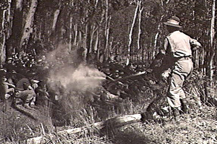 Australian soldiers shown how to control mosquito larvae