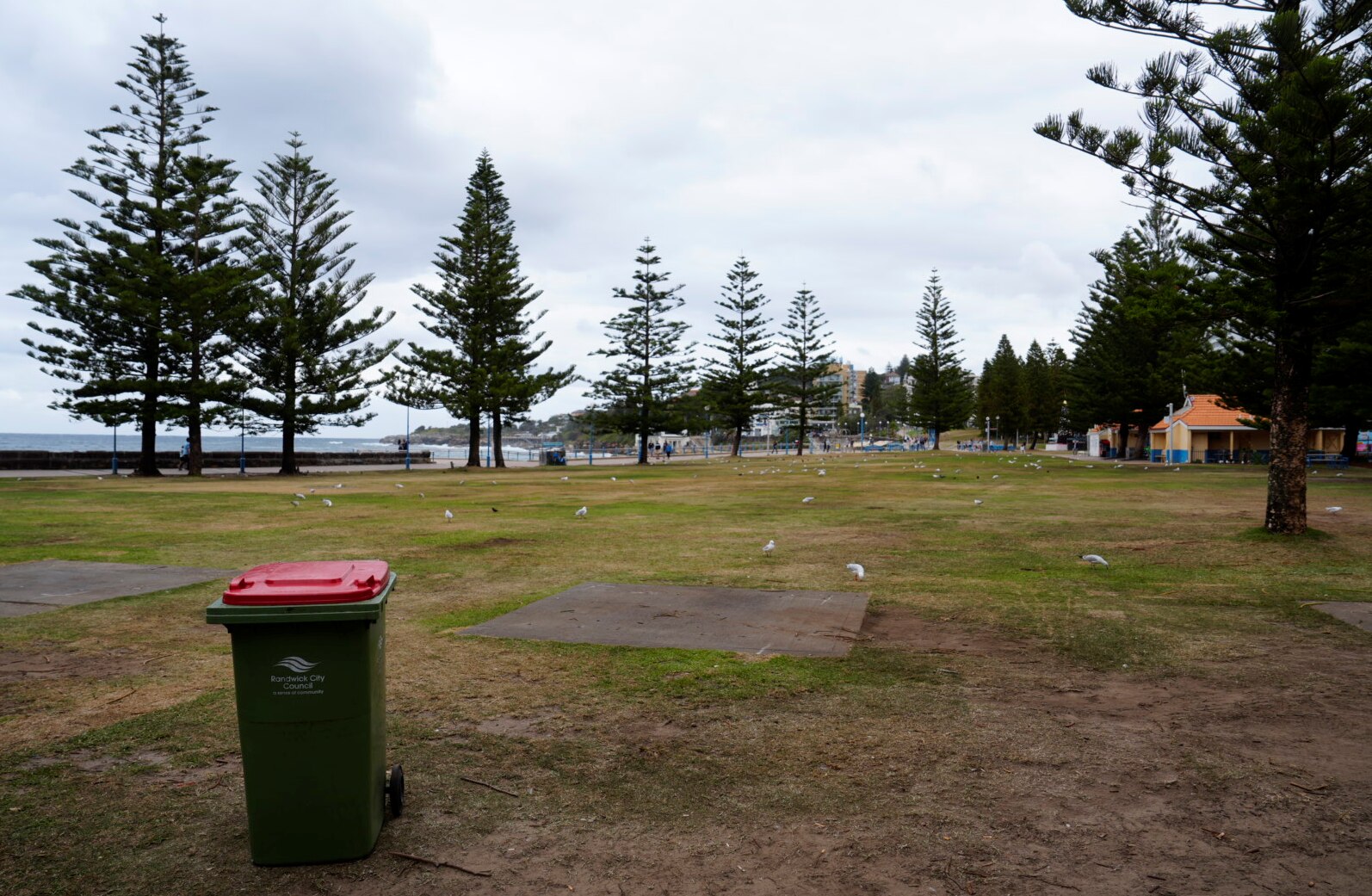 Una playa limpia al fondo con un césped igualmente limpio al frente, se puede ver un bote de basura rojo a la izquierda.