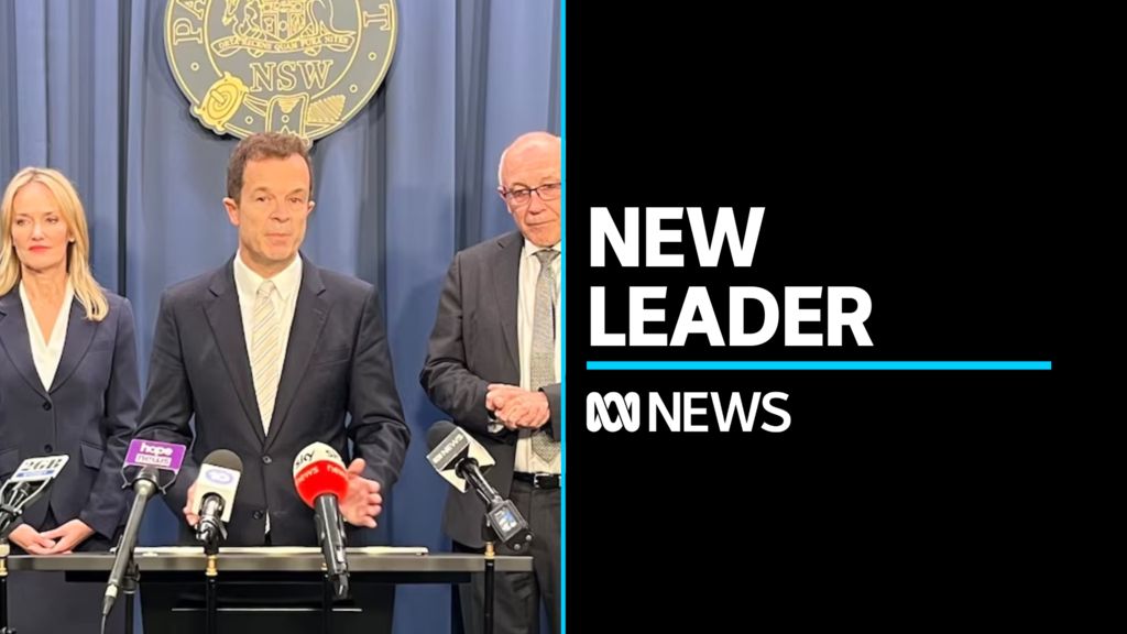 ABC News NSW: NSW Liberals appoint new chief after Perrottet election ...