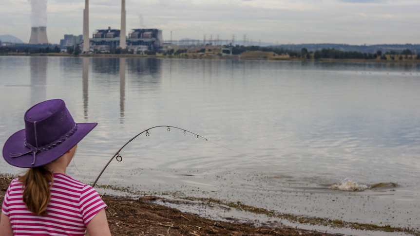 A young girl reels in a fish at a lake near a coal-fired power station.