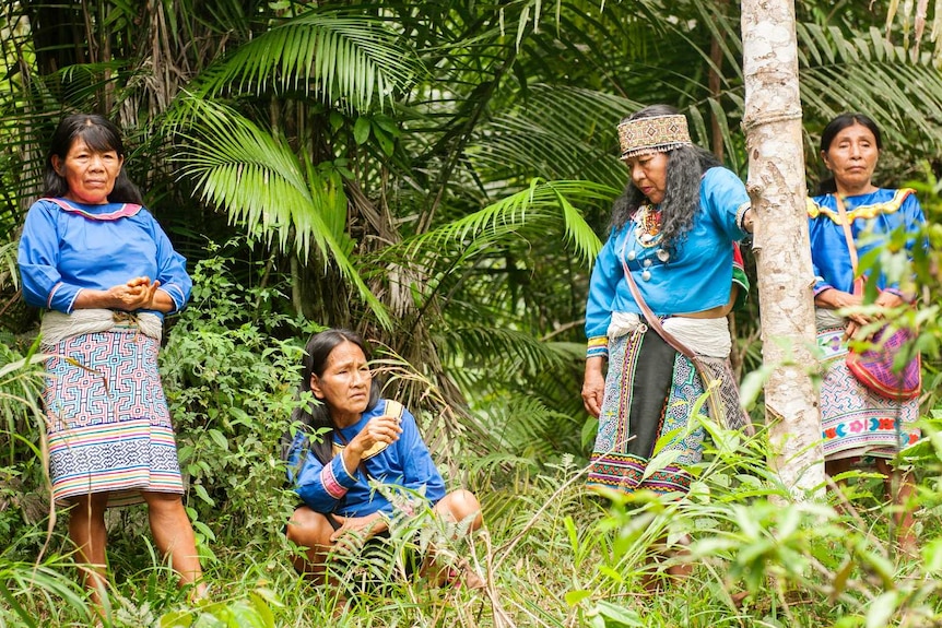 Female Shipibo Ayahuasca healers stand in colourful clothing amongst palm fronds