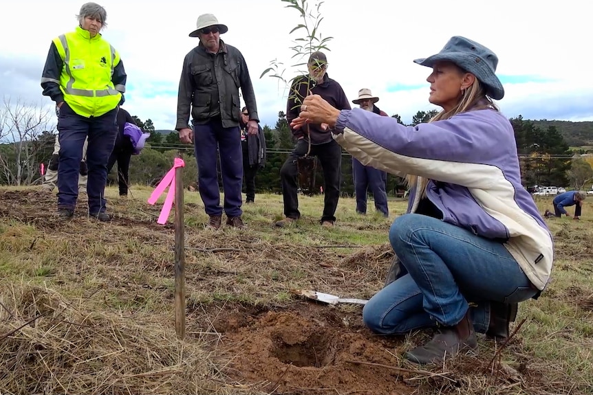 Low angle of woman in denim hat holding a tree seedling as others look on