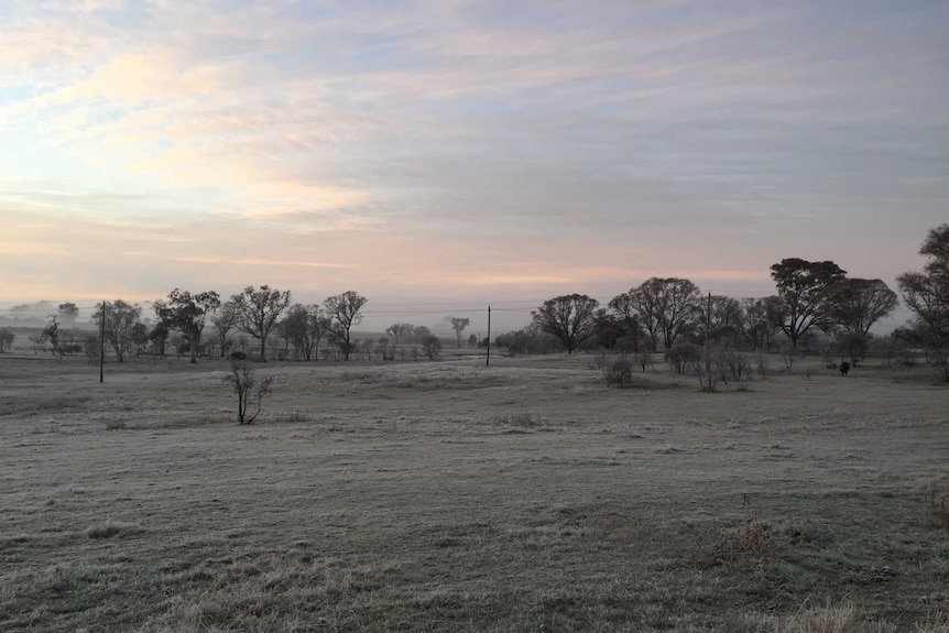 Frosty morning in Canberra