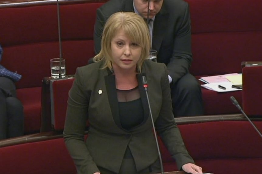 Rachel Carling-Jenkins speaks in State Parliament