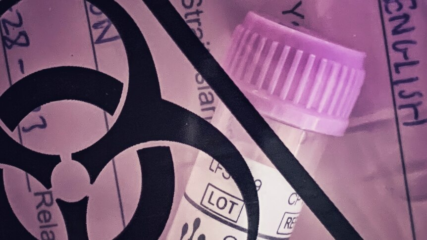 A tube containing a coronavirus test inside a pink bag.