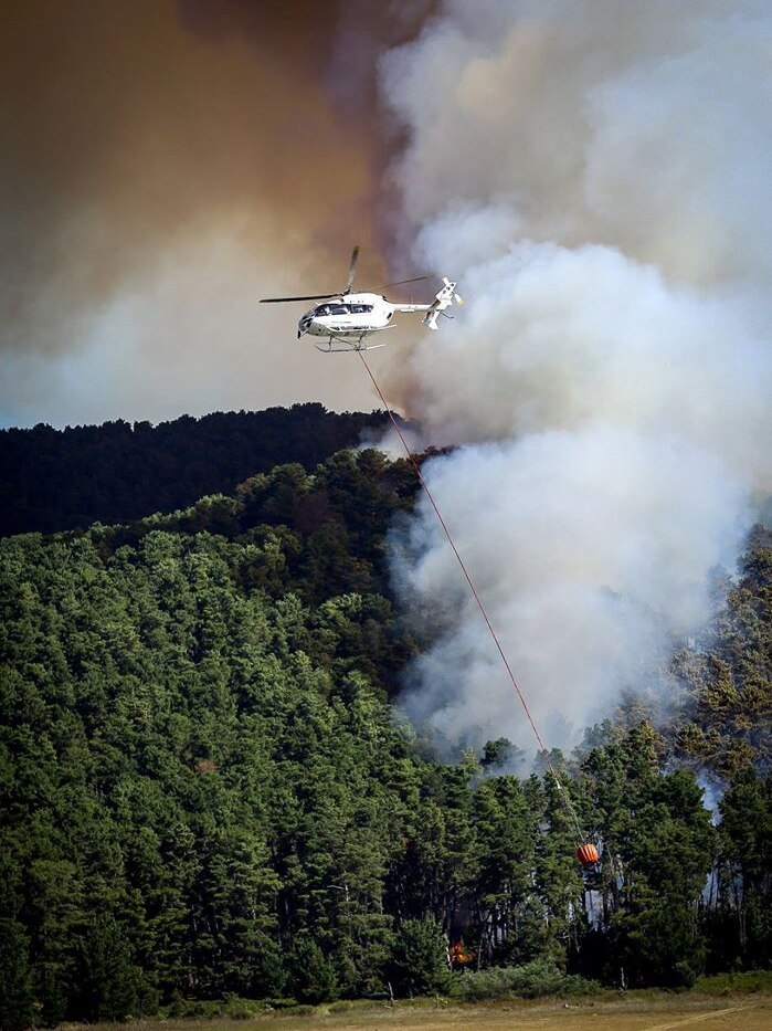Lunds Plantation fire near Talbingo