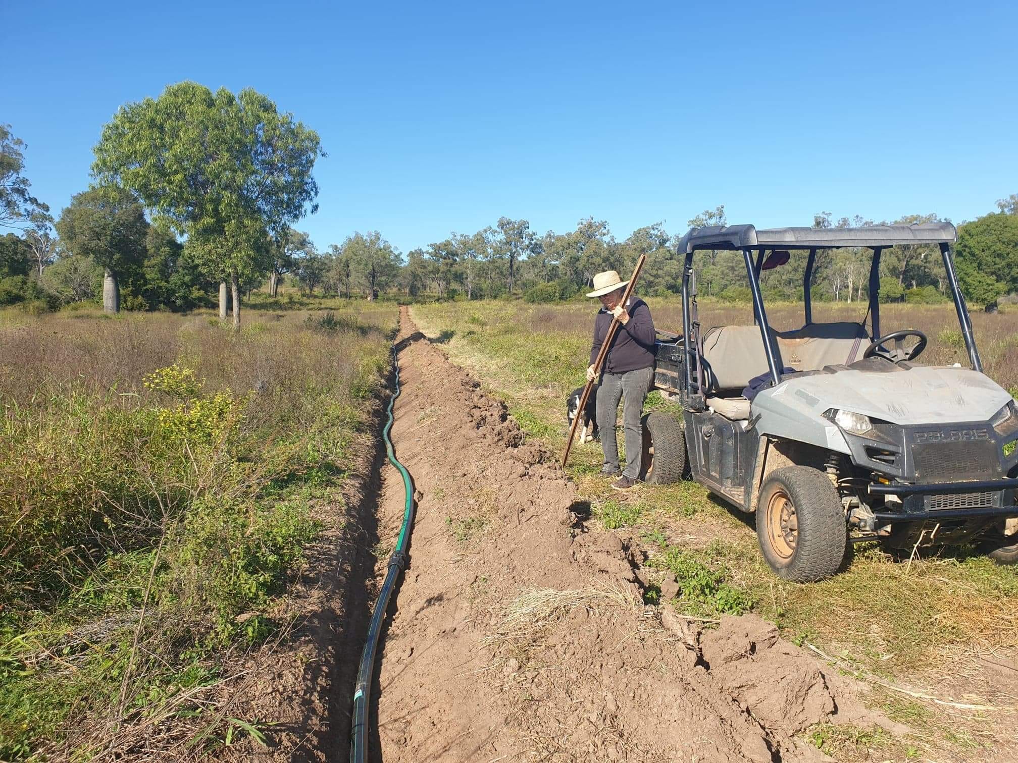 Old woman near buggy on property