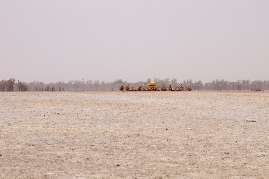 An empty, drought affected paddock on Martin Sullivan's property near Dirranbandi in October 2019.