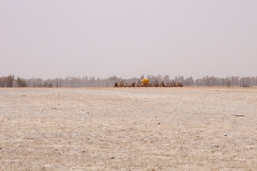 An empty, drought affected paddock on Martin Sullivan's property near Dirranbandi in October 2019.