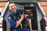 SA police dog Koda