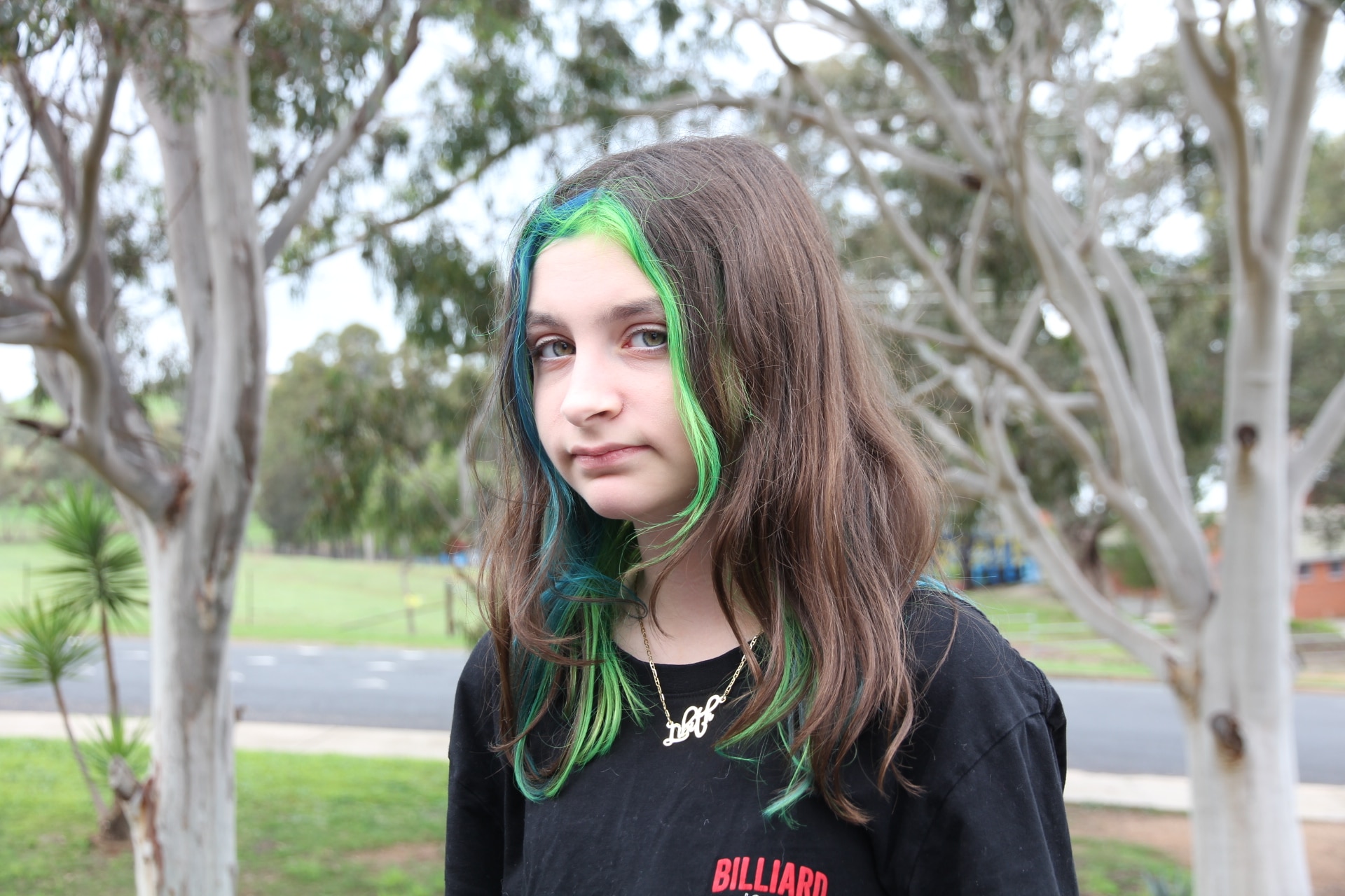 A girl wearing a black shirt and striking black and green hair. 