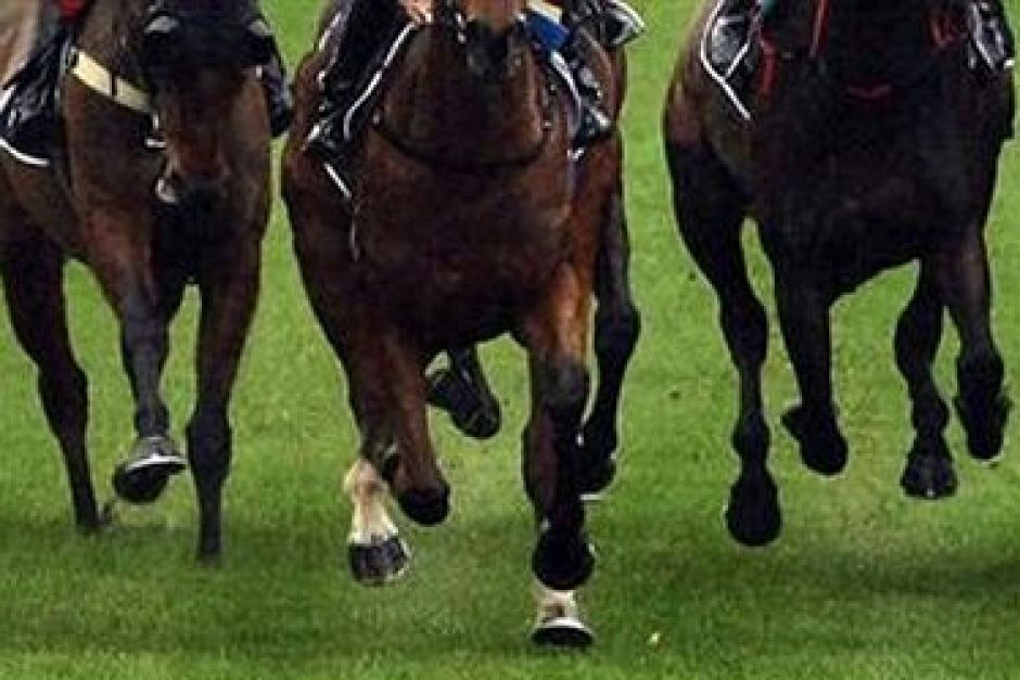 Commissioner Sal Perna admits racing integrity on the nose with public ...