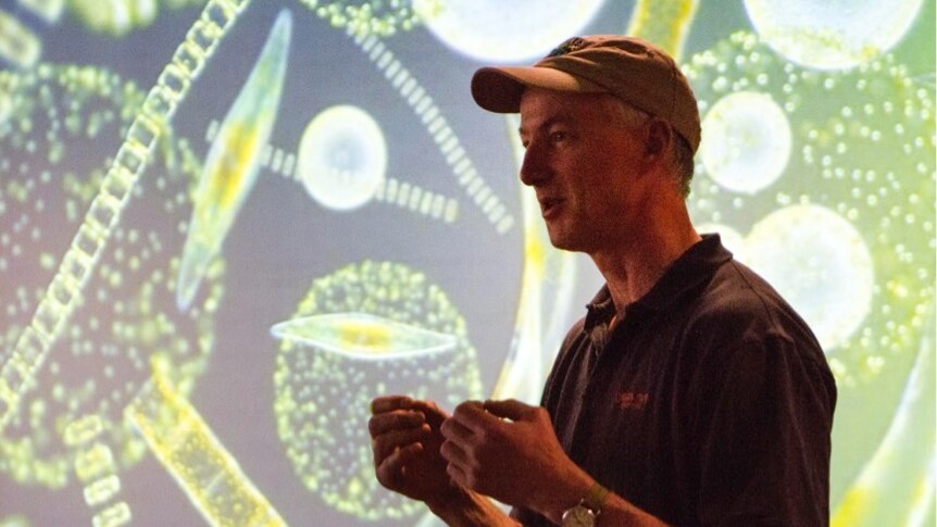 photo of a man in front of a projected image of phytoplankton