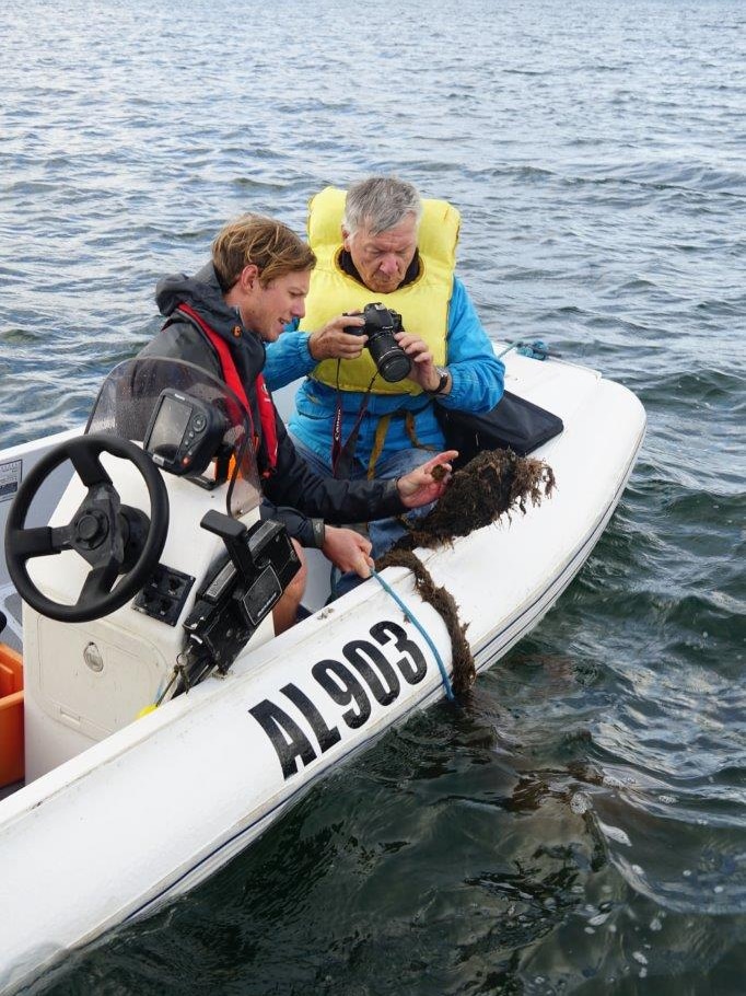 Scientists Bryn Warnock and Peter Cook inspect oysters for shell reef project