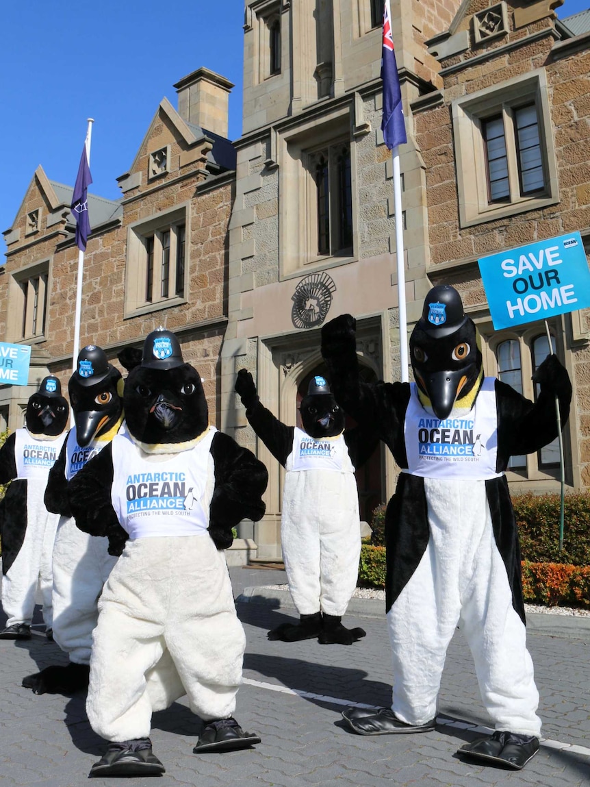 Protesters in penguin suits outside CCAMLR meeting in Hobart
