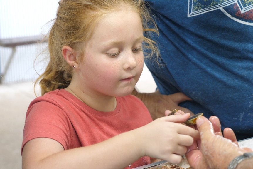 A little girl looks expectantly at a newly revealed thunderegg.