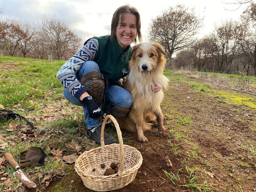 A woman in a green vest and jeans hugging a Tasmanian Smithfield dog on a truffle farm.