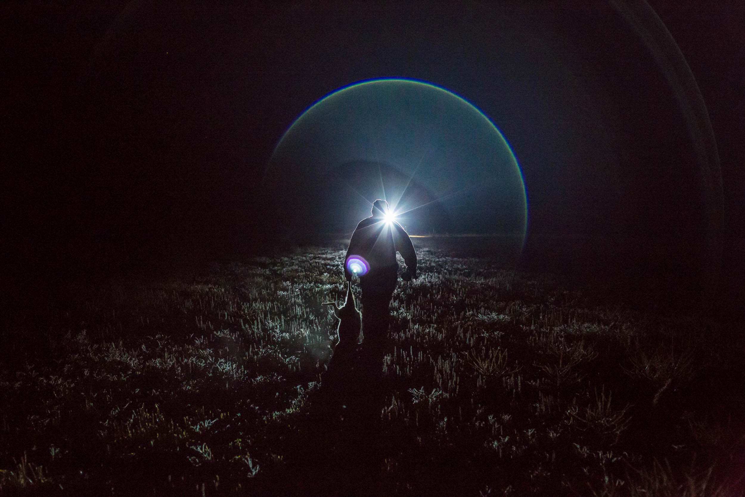 A man dragging an animal carcass through a field is silhouetted as he walks towards a light.