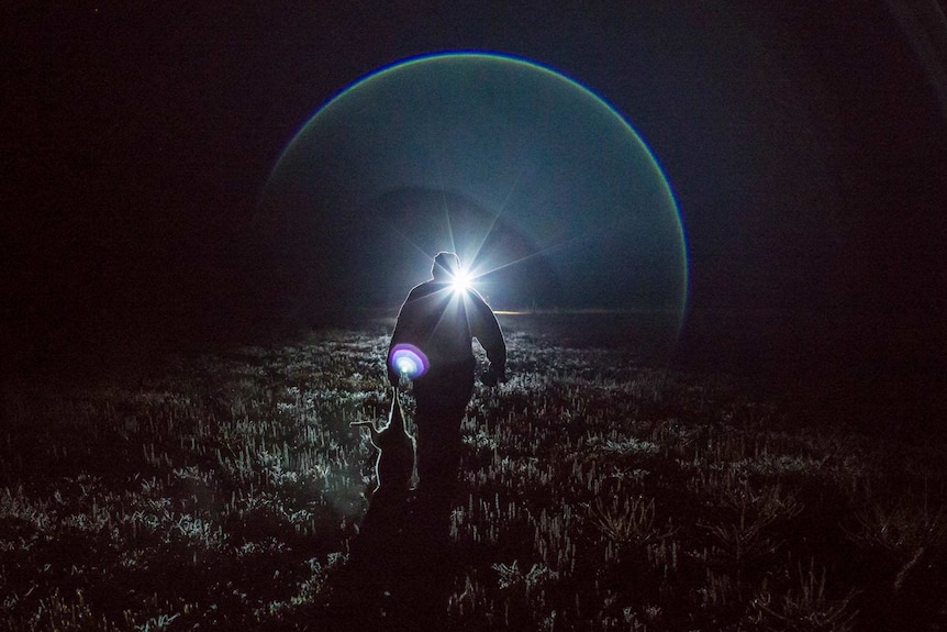 A man dragging an animal carcass through a field is silhouetted as he walks towards a light.