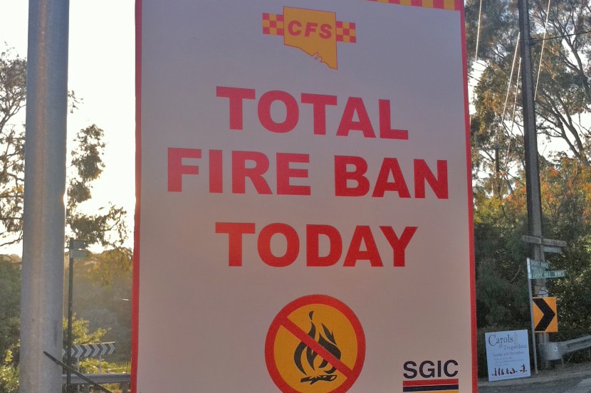 Youths arrested for lighting fire during total fire ban
