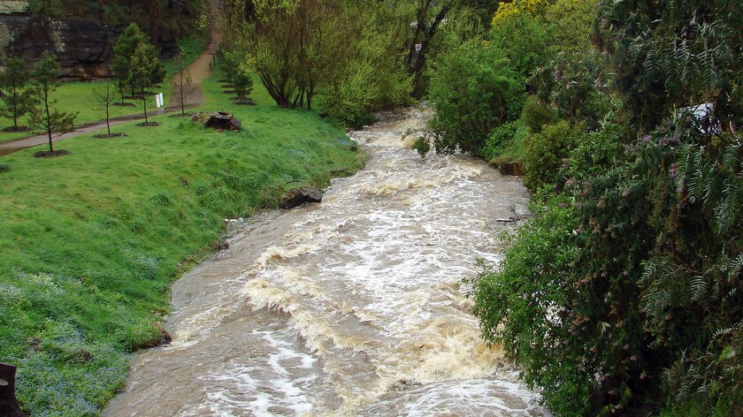 Flooded rivulet in southern Tasmania 20090927