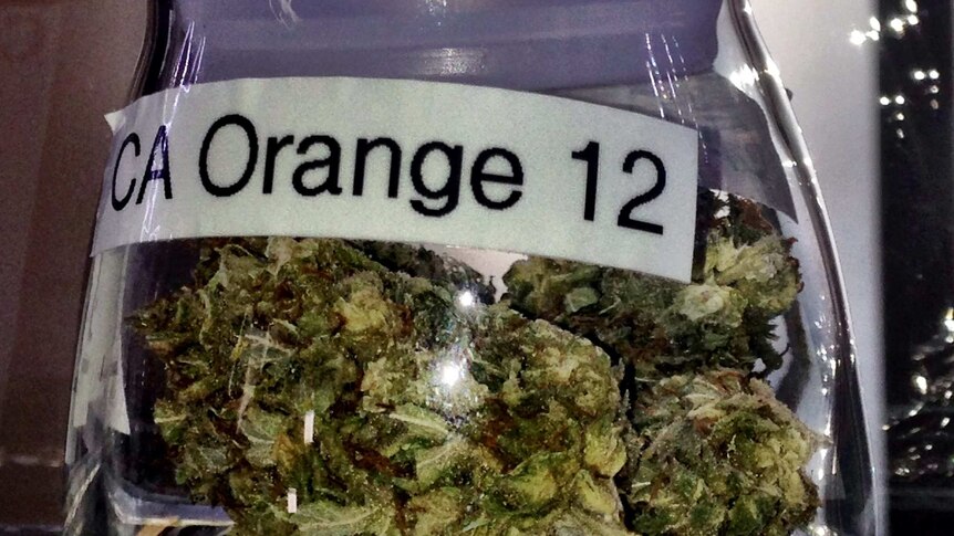 CA Orange, a brand of marijuana in Seattle