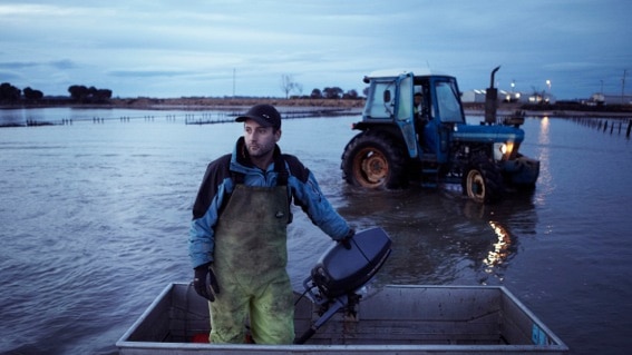 Tasmanian oyster farmer Josh Poke at Pittwater