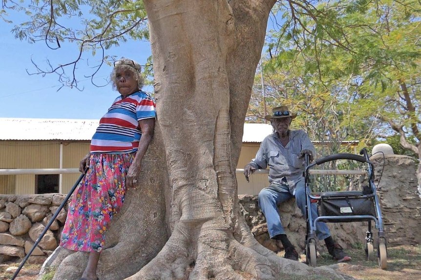 Man and woman standing next to large tree.