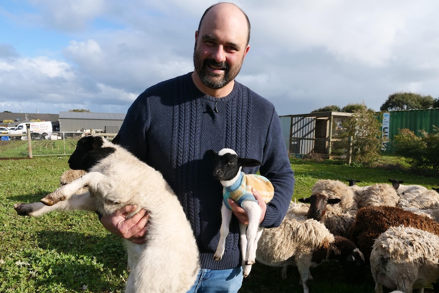 A Farmer holds two lambs, one normal size and the other very small, wearing a woolen jacket
