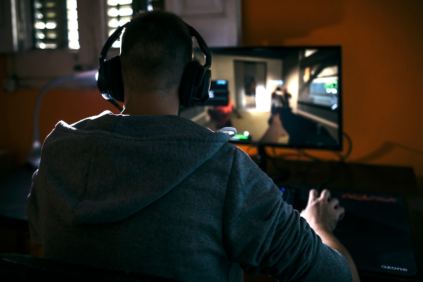 A person seen from behind playing a video game
