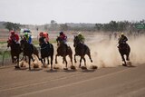 Six horses ridden by jockeys race along a very dusty track.
