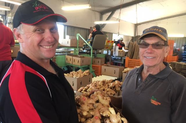 Shane and Jon Templeton standing in their shed with their jumbo ginger