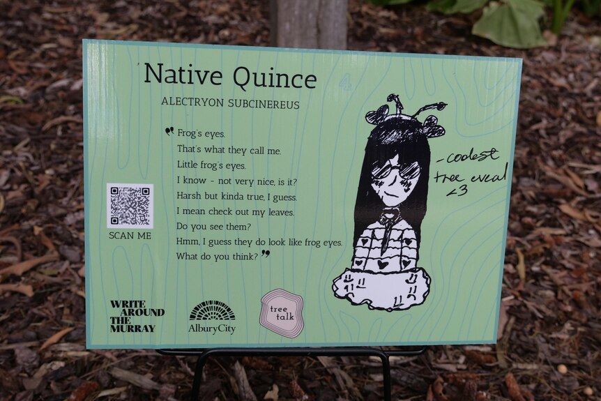 A plaque that reads Native Quince with an illustration of a lady on it