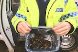 Police holding bag of suspected magic mushrooms