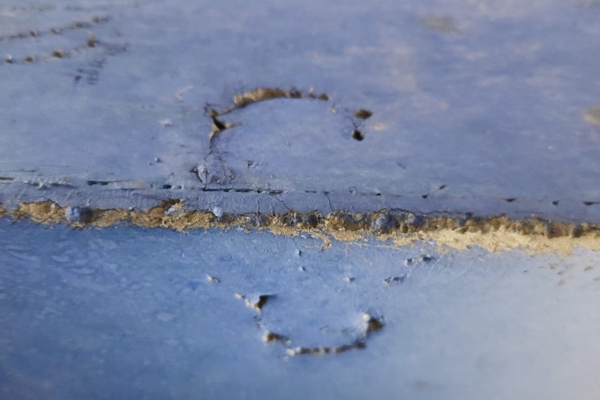 A dog bite on a blue surface.