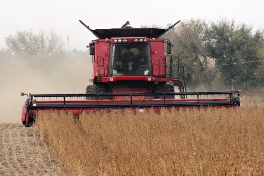 Grain harvesting in Ukraine