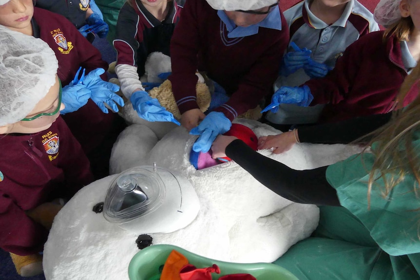 Children "operate" on a teddy bear