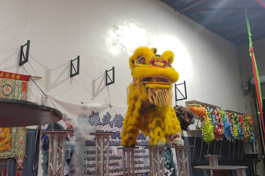 A yellow Chinese lion costume poses standing on top of poles