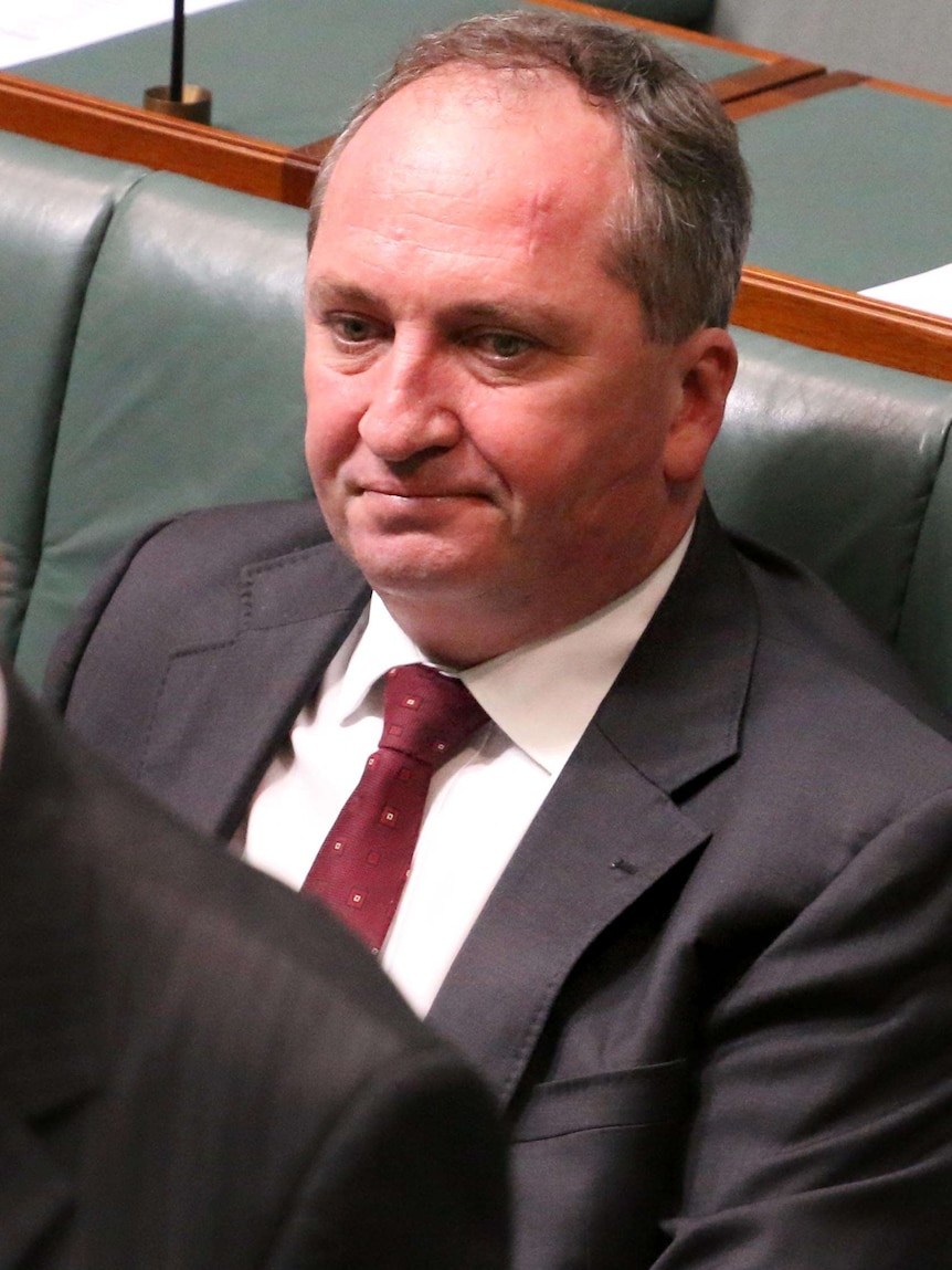 Barnaby Joyce in House of Reps