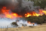 Lone firefighter battles a blaze at Powrana near Campbell Town Tasmania, January 2009.