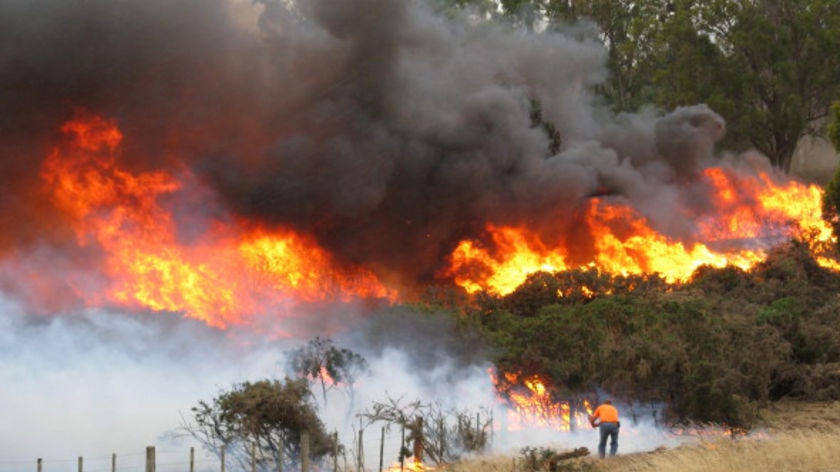 Lone firefighter battles a blaze at Powrana near Campbell Town Tasmania, January 2009.