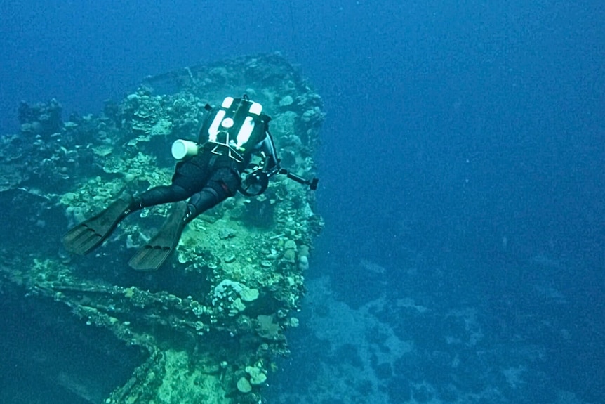An underwater photo of a diver looking at the prow of a ship covered in coral.