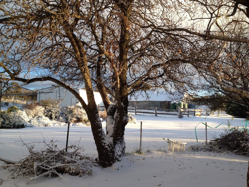 Snow fall at Jindabyne, NSW