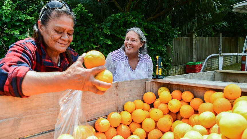 A woman laughs while another woman puts oranges in a bag