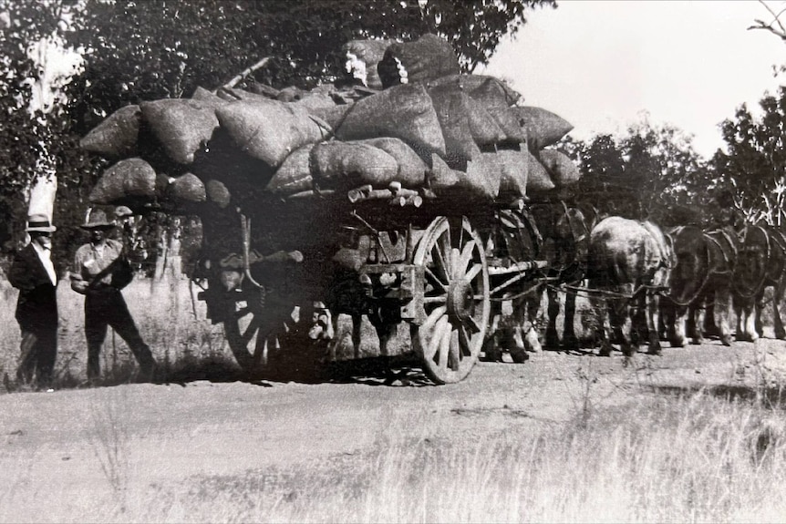 A black and white photo of a horse and cart hauling bales.