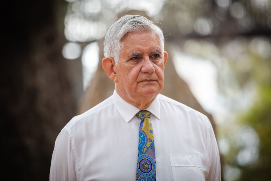 Indigenous man Ken Wyatt wearing a white button-down shirt and a tie with and Indigenous pattern. Blurry trees in background.