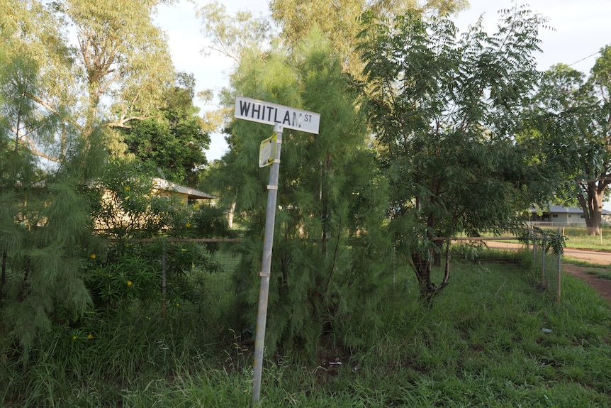 A street sign reads "Whitlam Street", greenery and trees all around.