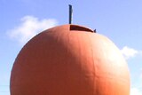 Former tourist landmark, the Big Orange, sold to Riverland local