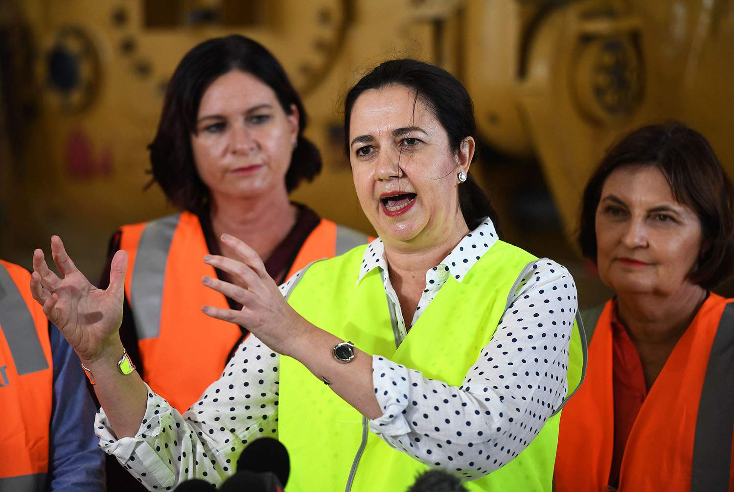 Queensland Election: Premier Says She's The Underdog But Poll Has Labor ...