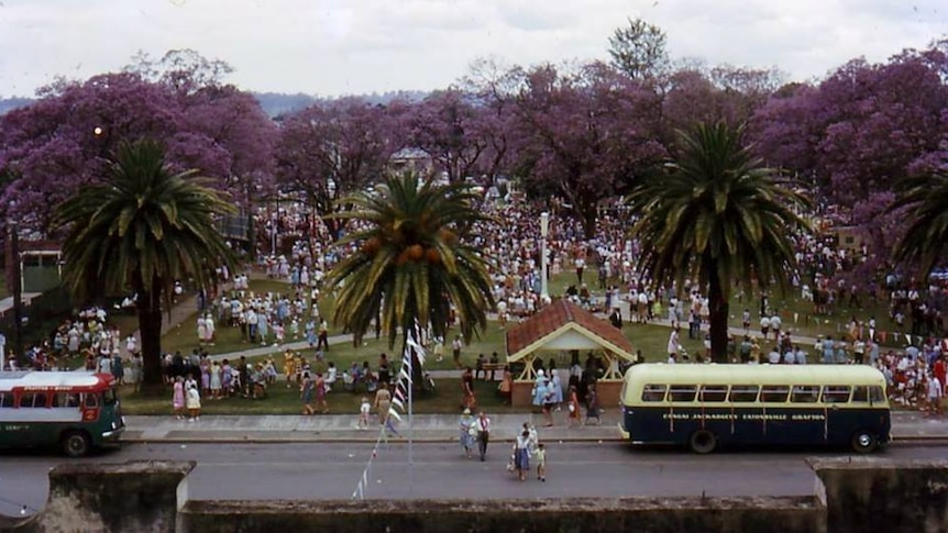 An aerial view of the Jacaranda Festival in Grafton, showing the trees in full bloom and thousands enjoying the festivities.
